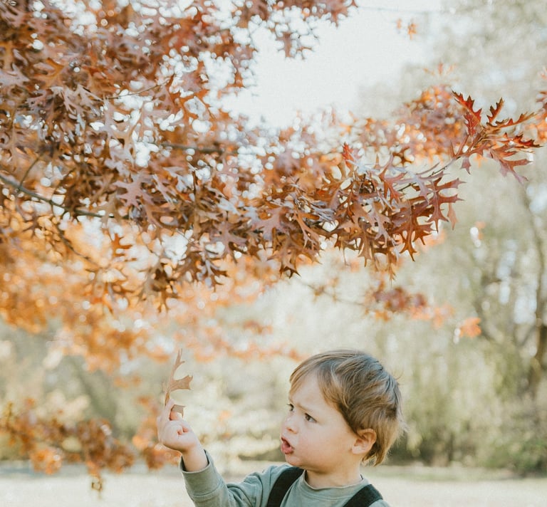 a boy playing with autum leaves in a lifestyle photo session in Adelaide Hills