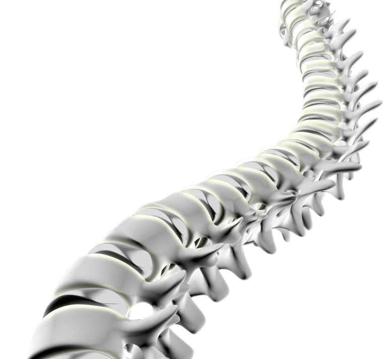OPME, linha de Ortopedia e Neurocirurgia 
