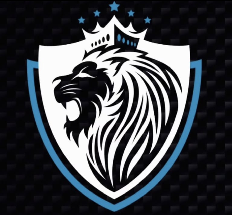 logo professionnel de seyf sécurité service de sécurité en Bretagne