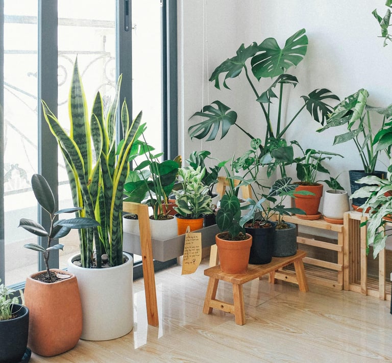 a room with a lot of plants and a wooden table