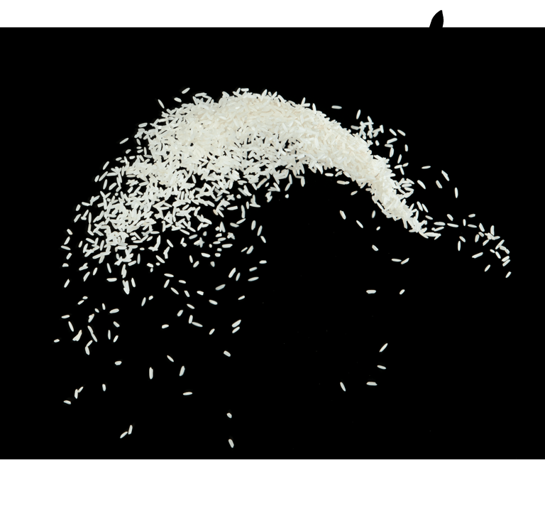 Rice - WEARE OCEAN EXPORT