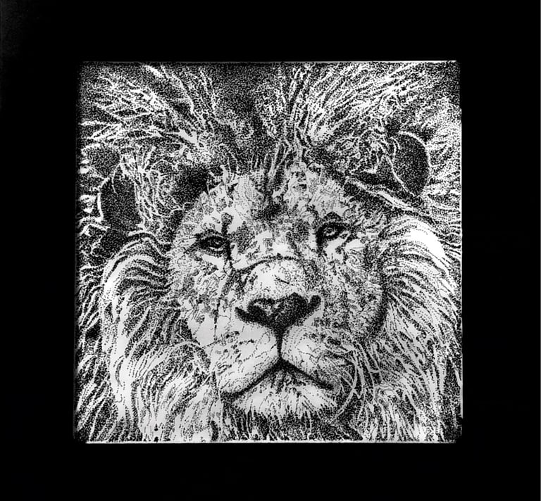 Laila Al-kharabsheh-Lion (Asad)-Stippling