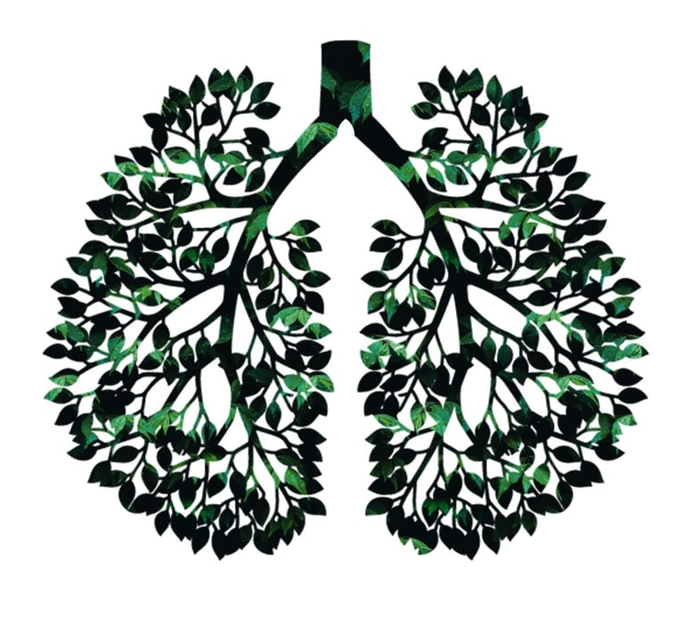 graphic poumon nature