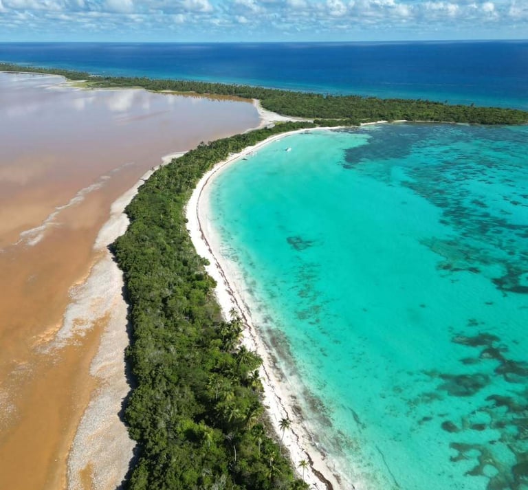 Saona Island 