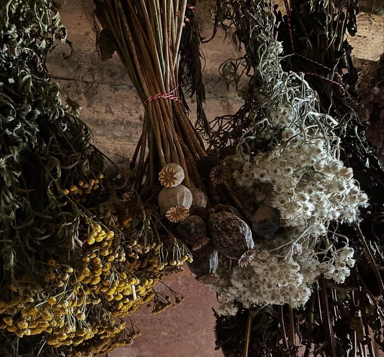 Žali akcentai - džiovintų augalų dekoracijos namams