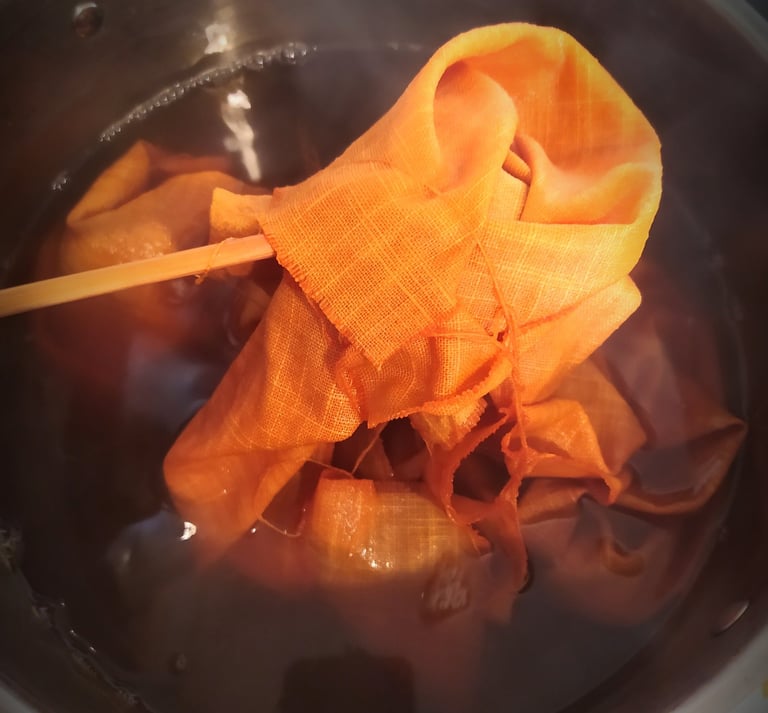 bain de teinture et de plantes tinctoriales