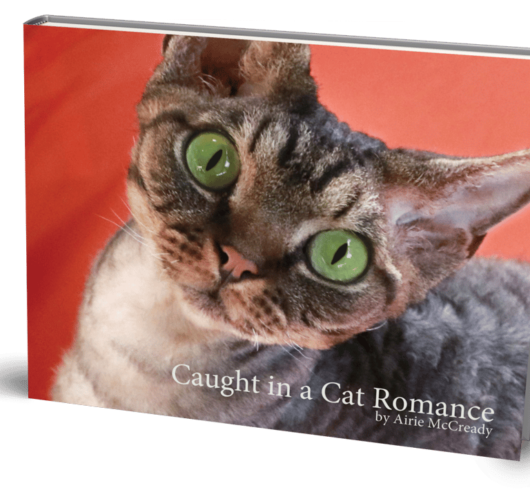 Caught in a cat Romance book cover