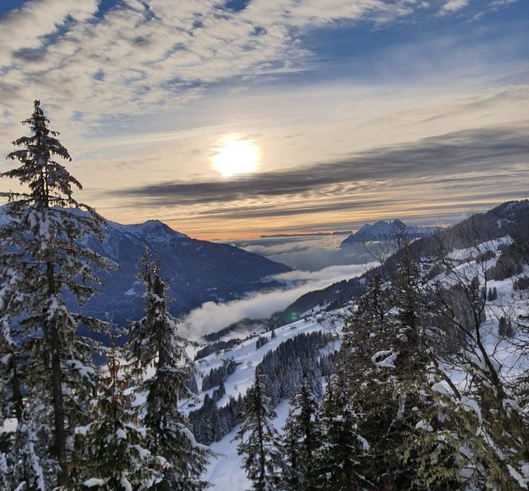 Une belle vue depuis le cabinet ou pratique Edyta Vorilhon.