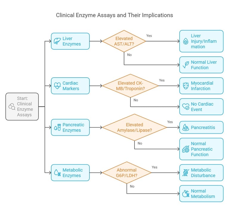 clinical enzyme assays & implication
