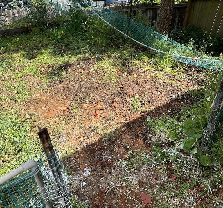 Branch and hedge trimming disposal in Walnut Creek 94597 & SF 94118.