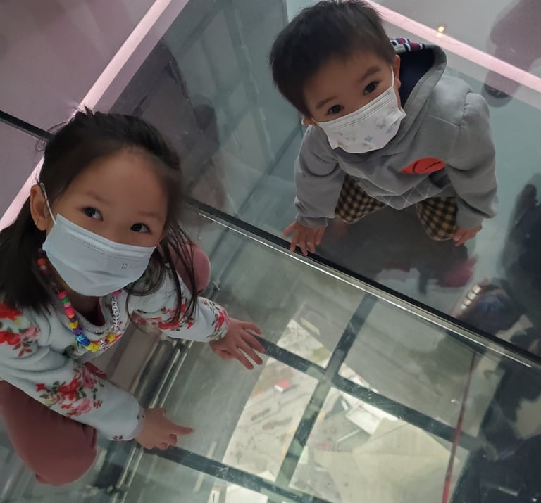 Temporary Glass Lookout