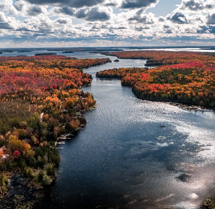 A large lake surrounded by forests in the Kawartha Lakes.