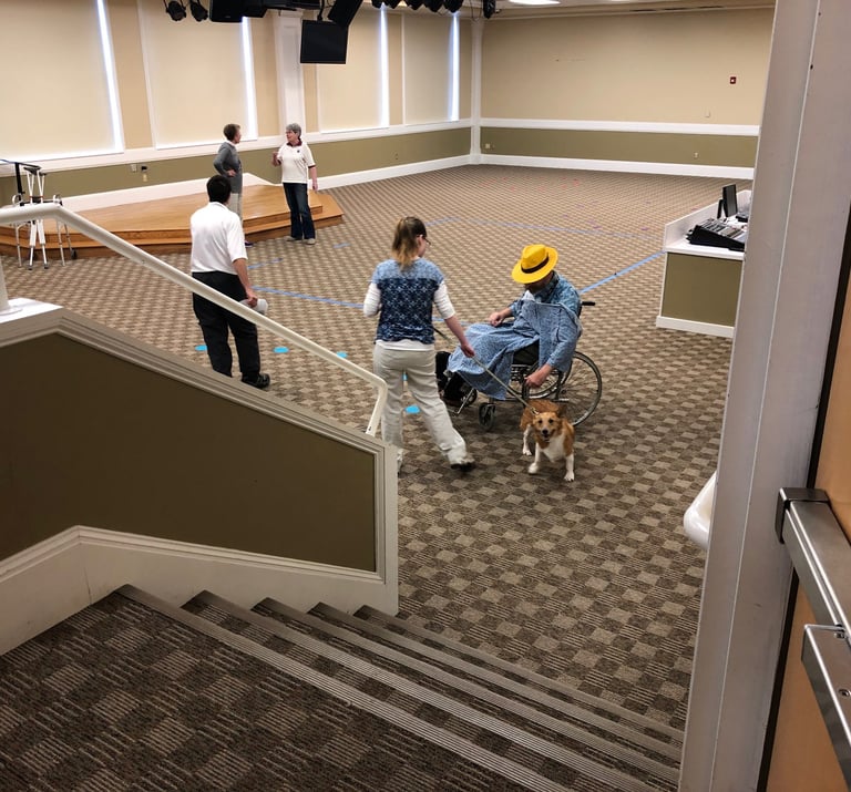 Pet Partners Team Evaluation role-play testing with several volunteers and the Team being tested.