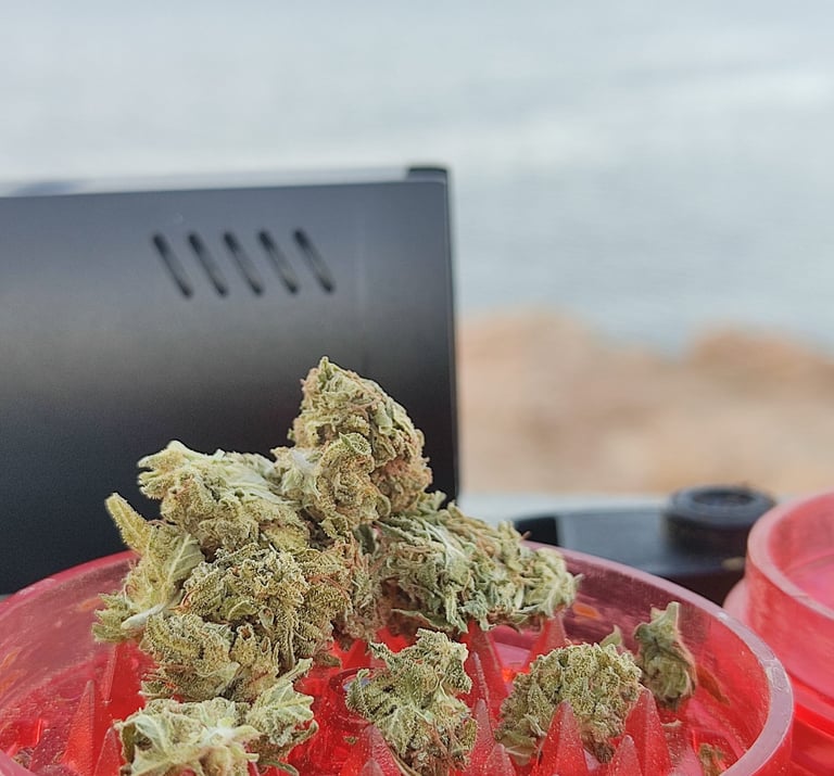 Cannabis next to a dry herb vaporiser in Malta