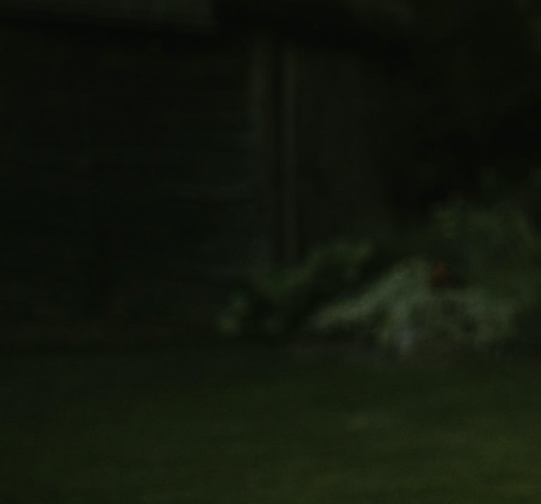 tamsiai žalios spalvos fonas