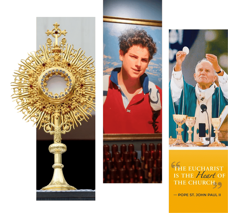 Carlo Acutis Foundation – Official Introduction  The Carlo Acutis Foundation