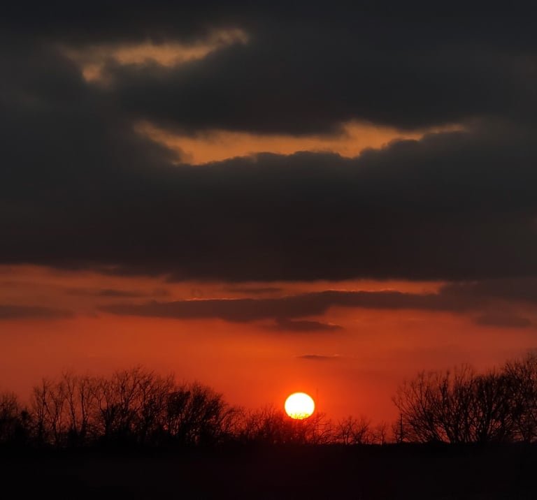 Orange glowing sunset portrait with grey clouds and tree silhouettes