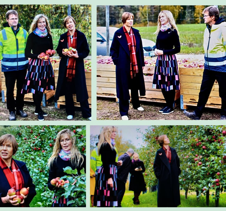 Tunnustus tehtud tööle. President Kersti Kaljulaid tutvumas meie hooldatud õunapuuaia ja saagikusega