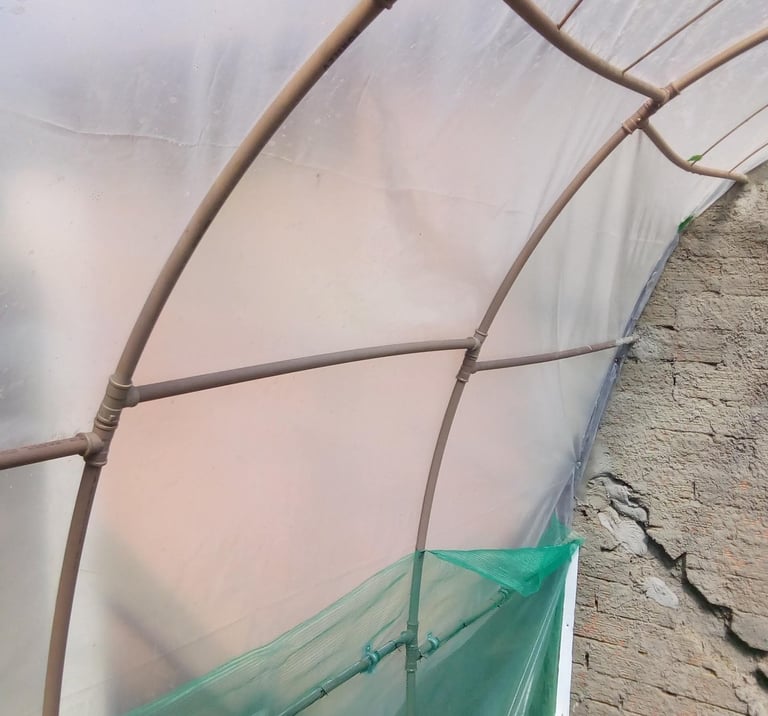 Foto da montagem da estufa/horta