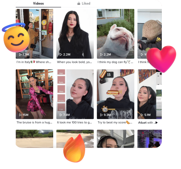 TikTok Video Downloader