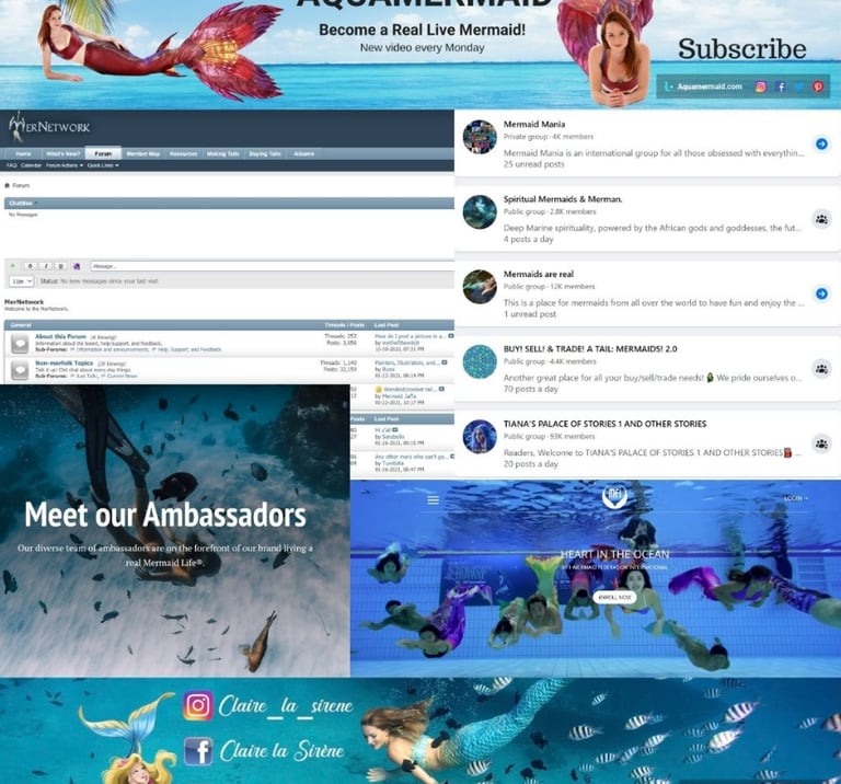 screenshots of various mermaid resources on the internet