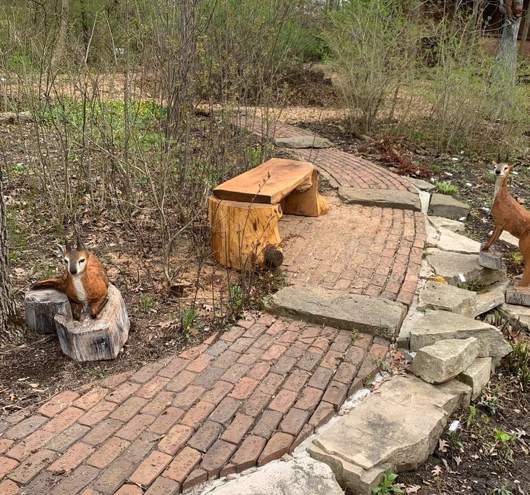 oak bench klipspringer antelope ash carving art