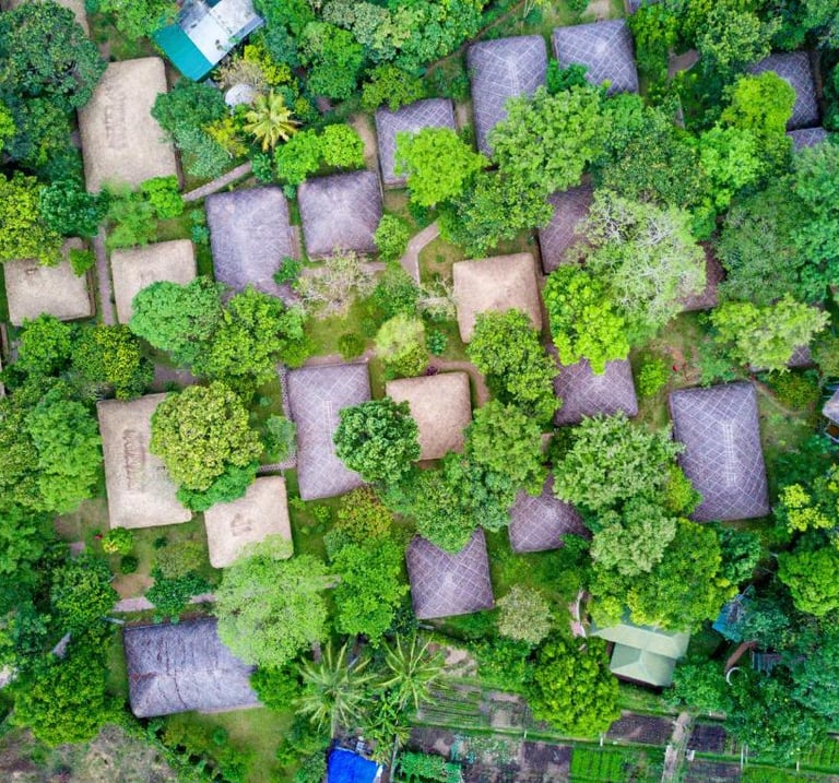 Traditional stay in a spice plantation in Kerala.