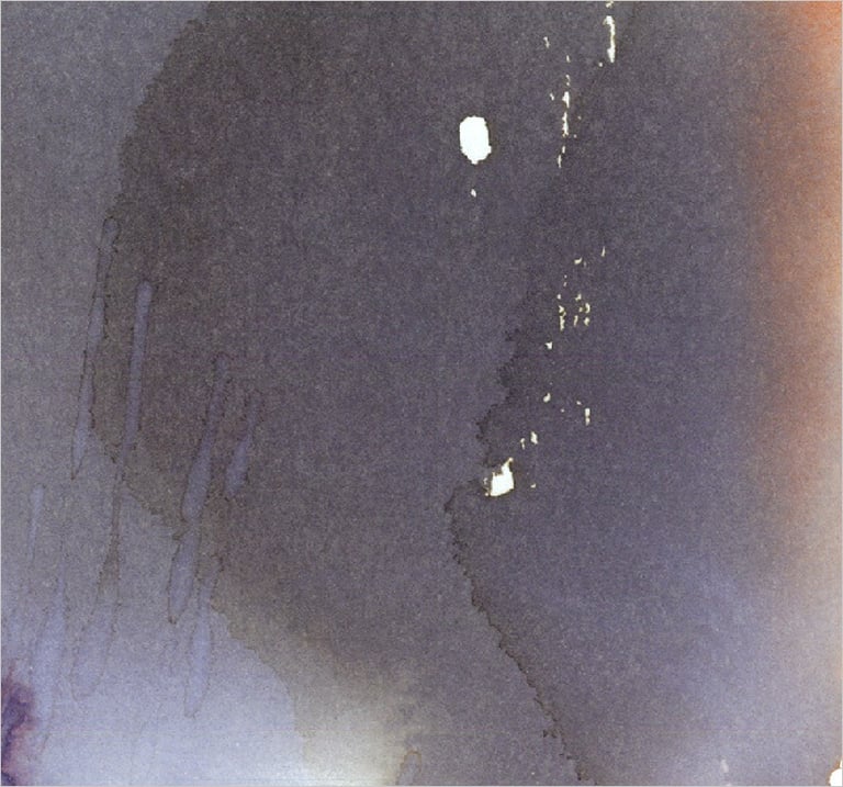 Yuge Kurt, fragment of watercolor painting in art gallery. Conceptual canvas. Earthy muted tones.