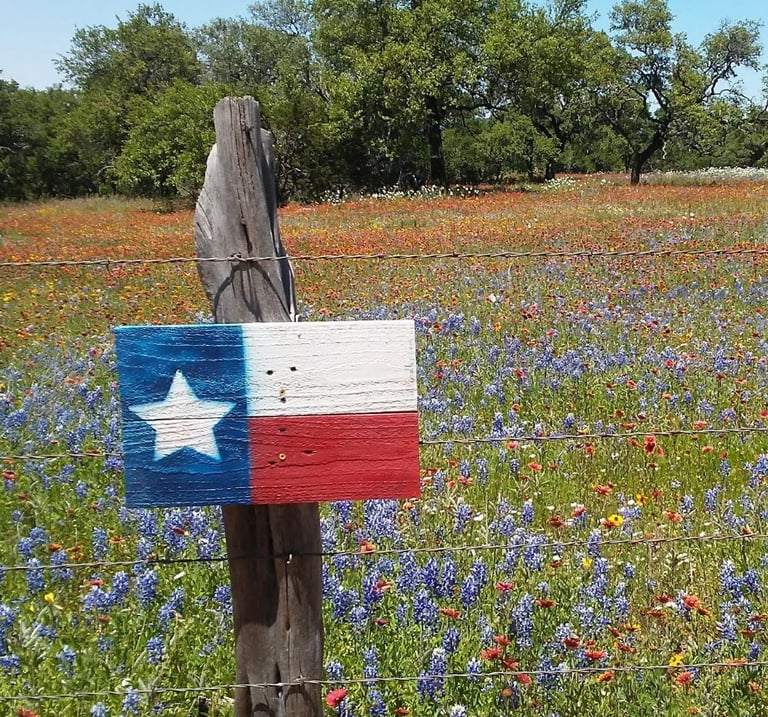 Texas wildflowers and bluebonnets behind a barbed wire fence