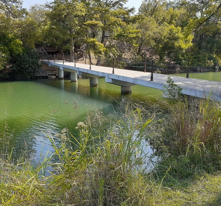 White bridge over river with green trees in background