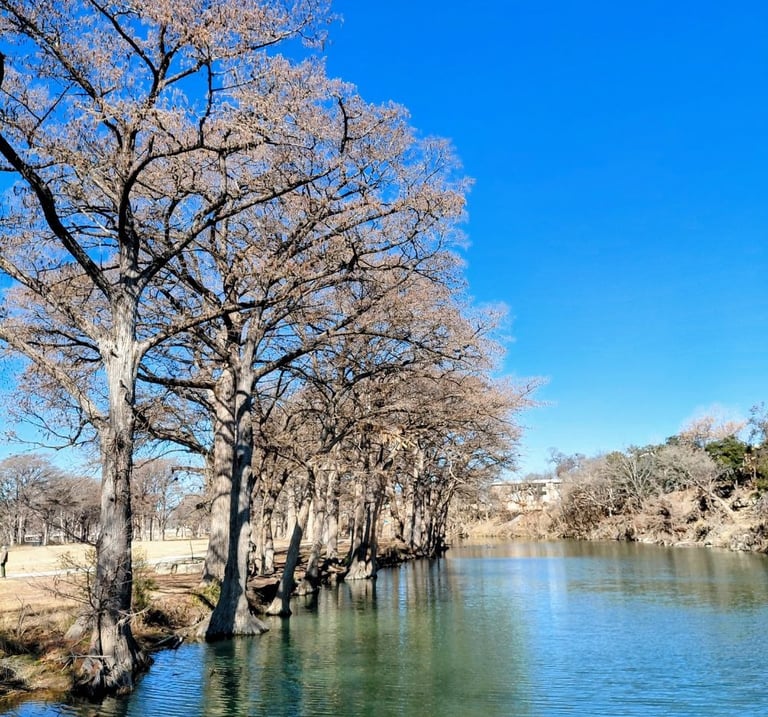 Gently flowing river with trees lining the bank