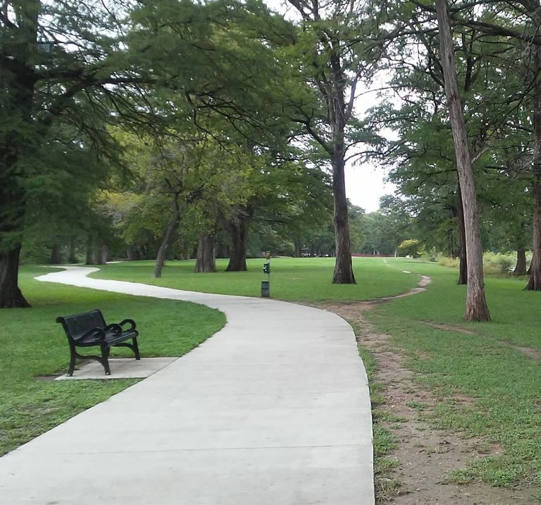 Winding paved path through a green park with large trees and a bench beside the path.