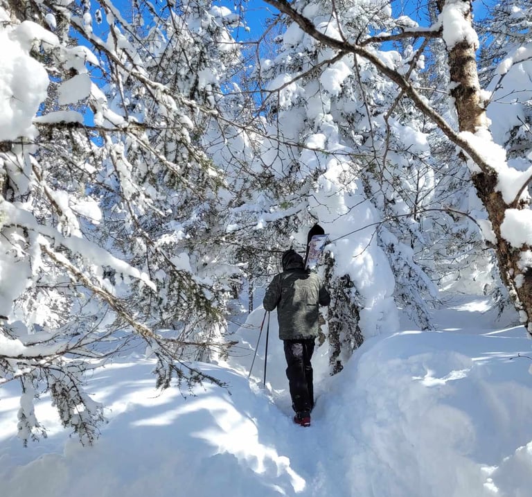 Skieur en pleine ascension sur une haute route, traversant les paysages enneigés et montagneux, dans un environnement alpin 