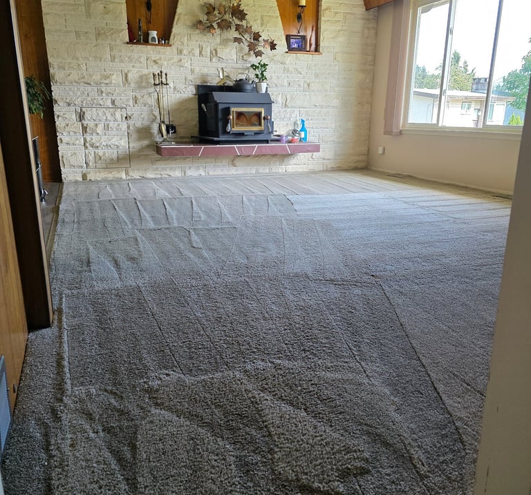 Freshly cleaned living room carpet after professional steam cleaning