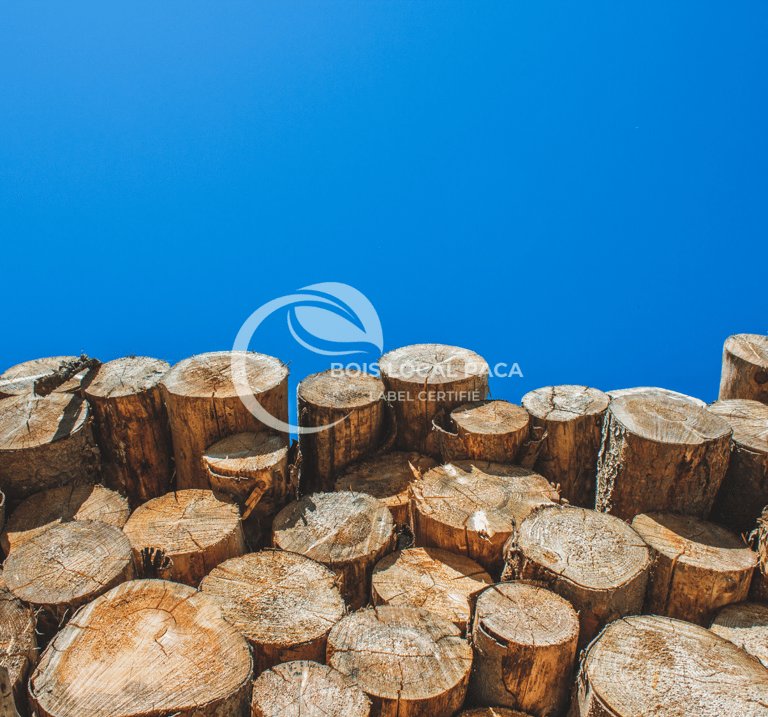 une pile de troncs de bois avec un ciel bleu en arrière-plan