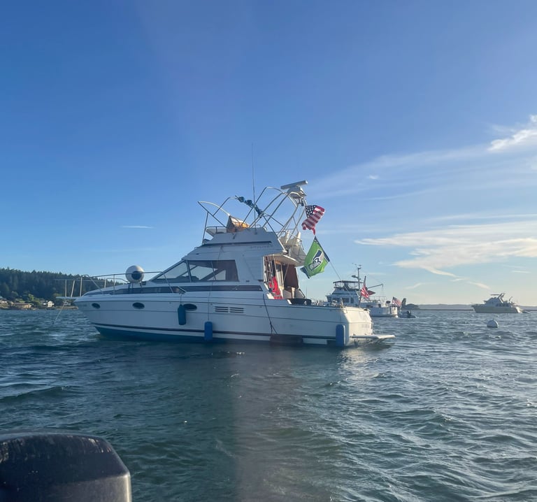 blerit marine diving 34 bayliner sport fish excursion charter boat