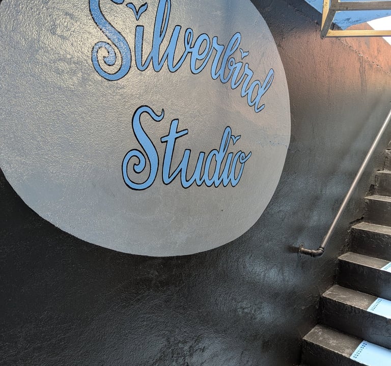 old school signage, silverbird studio, below Miss Kims, Potosi city hall, 573 Magazine
