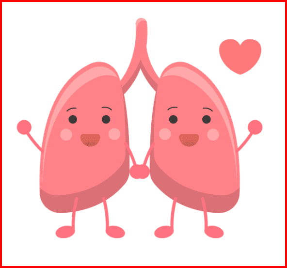 two lungs smiling
