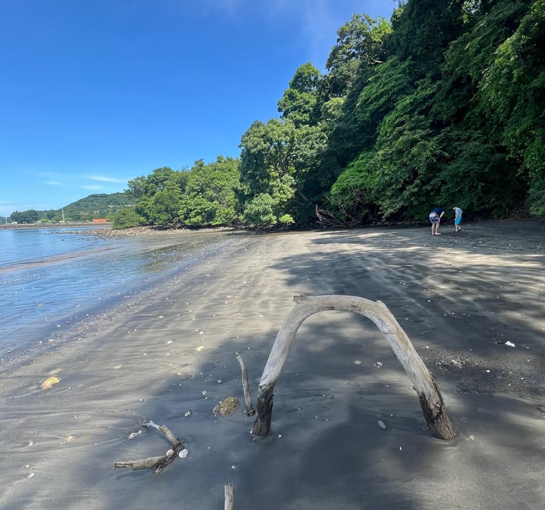 beach in costa rica