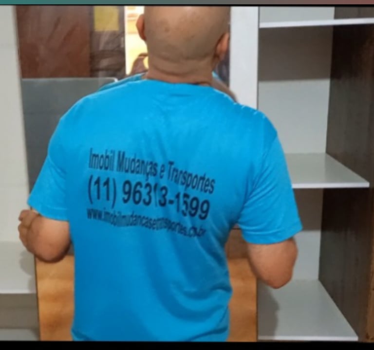 Empresa de Mudanças e montagem 