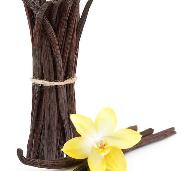 Vanilla and its flower
