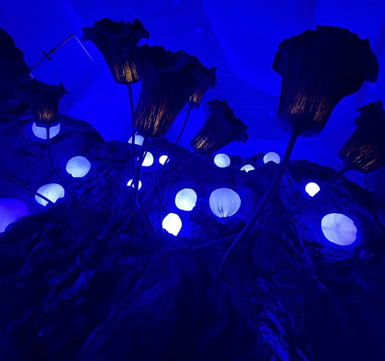 L'odyssée de Léa @16mag