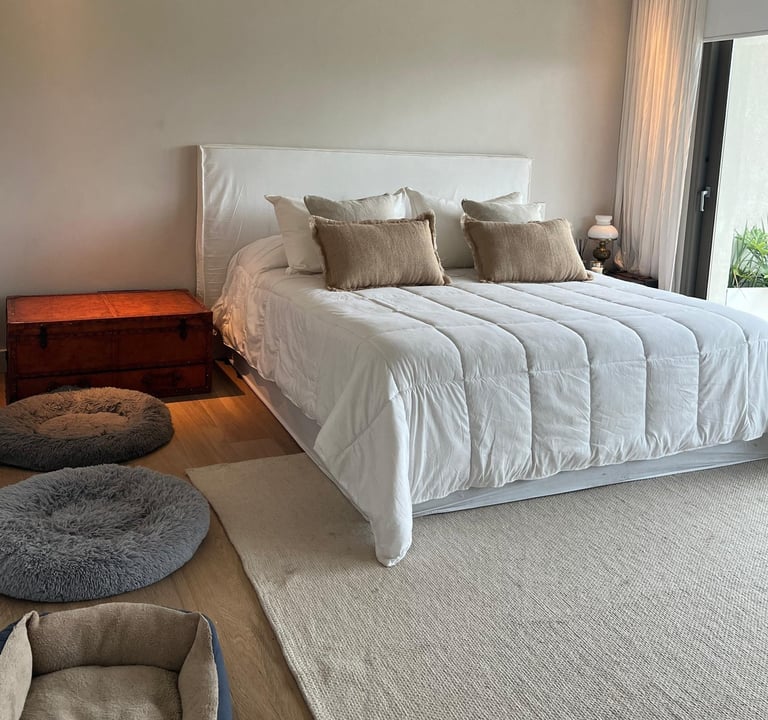 Pilar del Este Habitación Principal