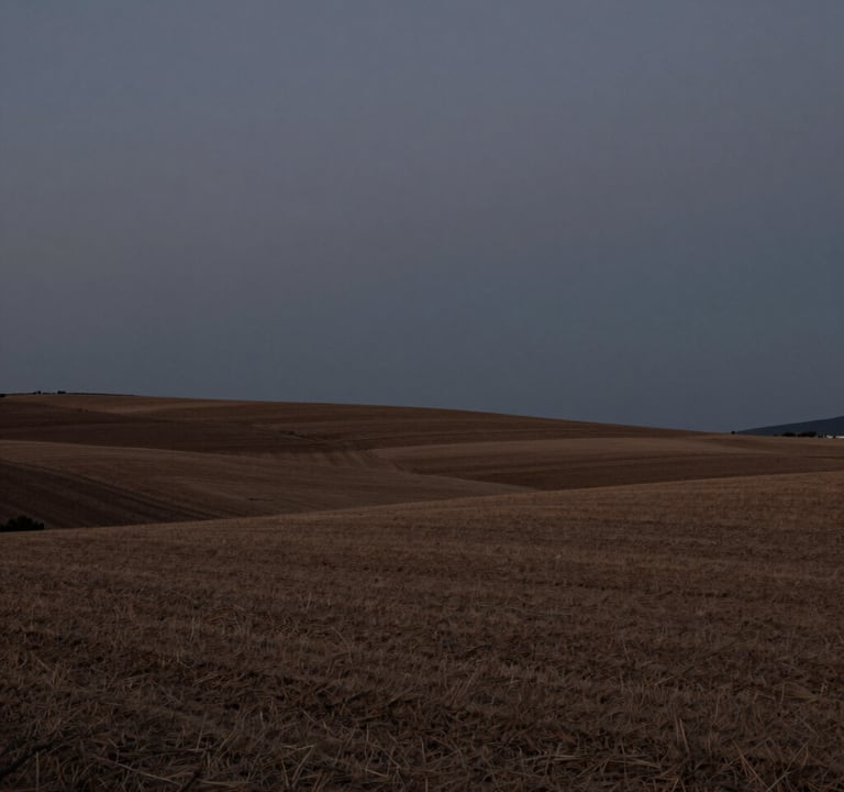 Artistic wide shot of a Mediterranean landscape in Spain during the blue hour, minimalist horizon, atmospheric and professional photography style, dark grey and muted brown tones.