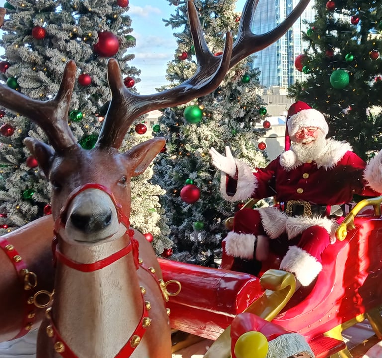 Santa Jay in his sleigh with a reindeer.