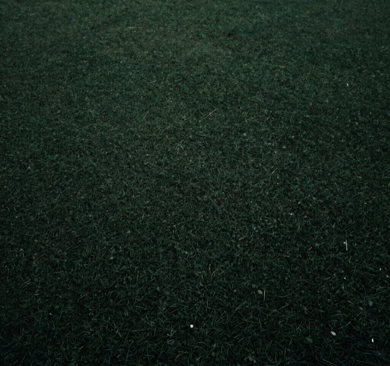 Minimalist photography of a dark green and black textured surface, cinematic lighting, portraying a sense of depth and sophisticated technology, Brazilian aesthetic.