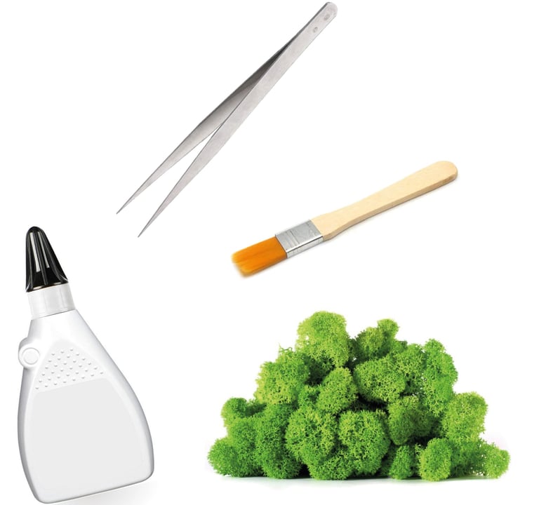 a bunch of broccoli and scissors, brush, tweezers and glue on a white background