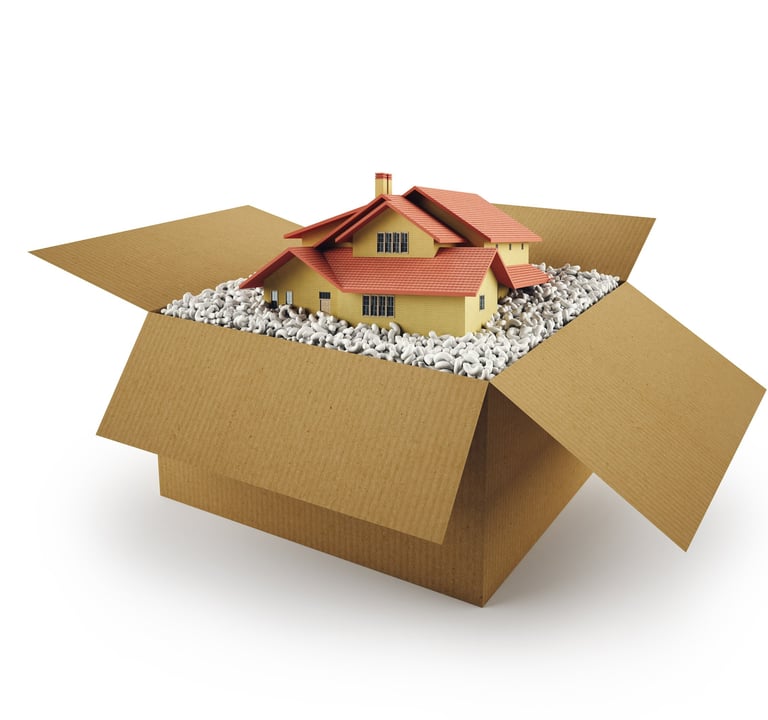 House inside shipping box