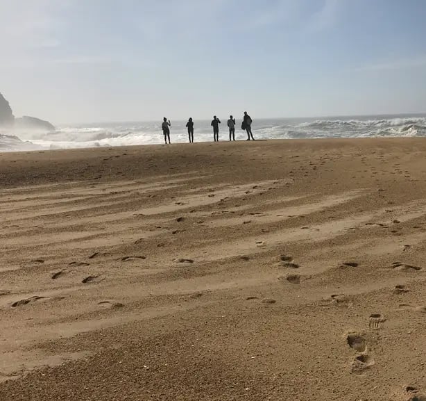 des personnes d'une entreprise ensemble sur la plage qui regardent la mer