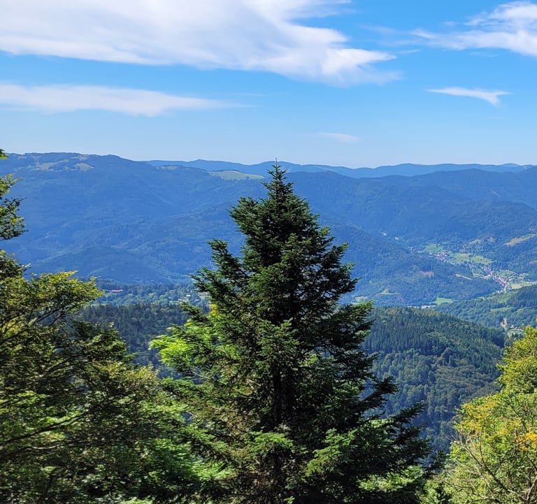 La nature, l'environnement 